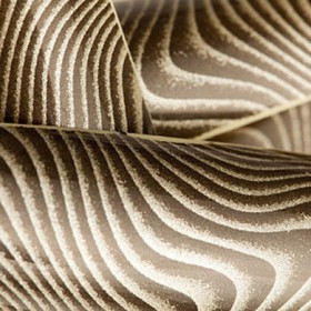 Трансферно фолио "Черно сребро"